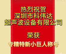 91香蕉APP下载免费版：荣获深圳市第五批专精特新“小巨人”企业荣誉称号